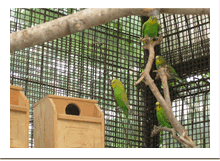 とり小屋