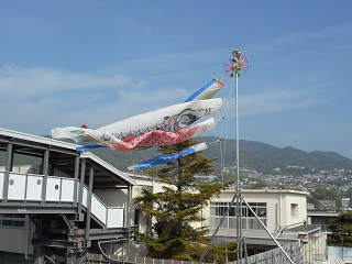 こいのぼり☆｜神戸海星女子学院 マリア幼稚園 キンダーライフ